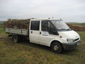 Zbiory faszyny na naszej plantacji