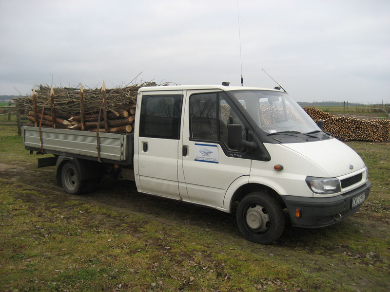 Zbiory faszyny na naszej plantacji