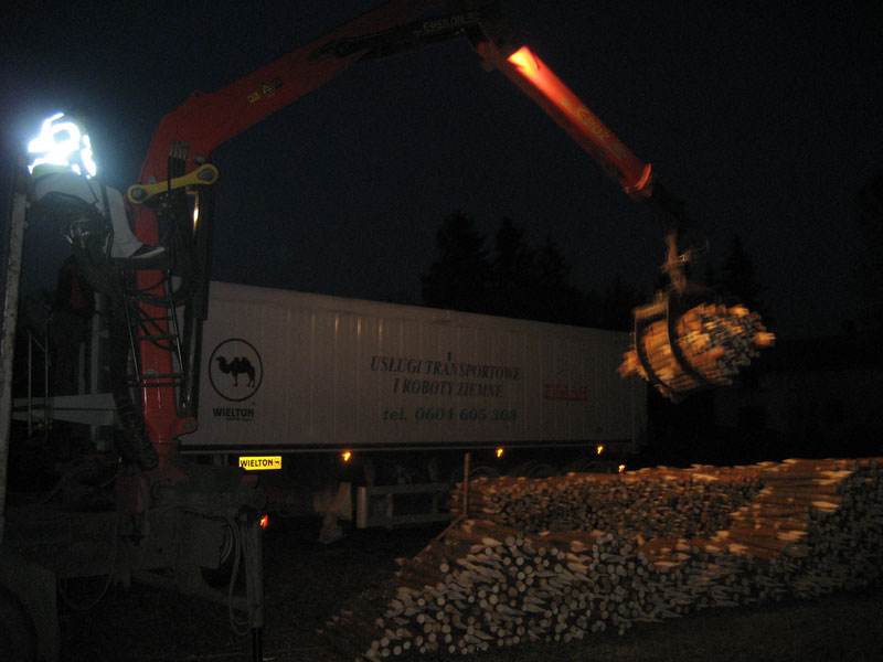 Zbiory faszyny na naszej plantacji
